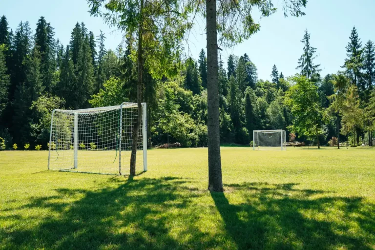 boisko-camp